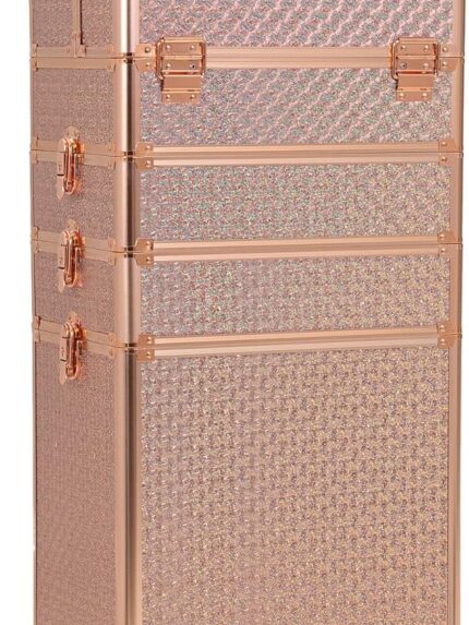 4 in 1 Portable Traveling Aluminum Professional Makeup Trolley Cart with Multiple-Sized Compartments and Wheels (baby's breath gold)